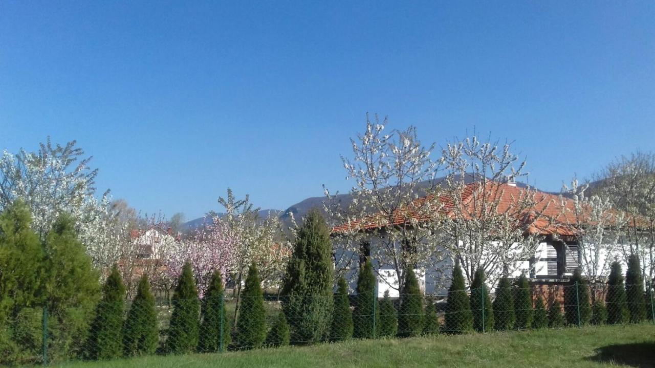 House Milovanovic سوكو بانيا المظهر الخارجي الصورة